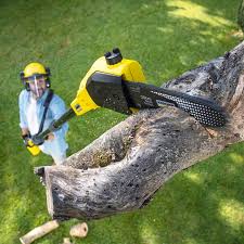 Best Lawn Pest Prevention  in Saranac Lake, NY