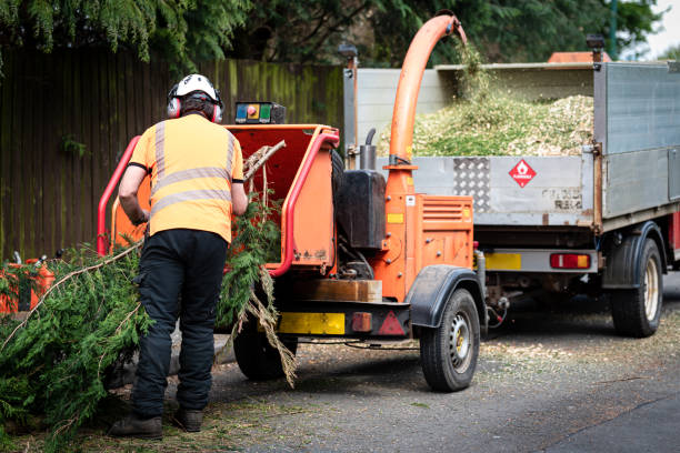 Lawn Maintenance Plans in Saranac Lake, NY