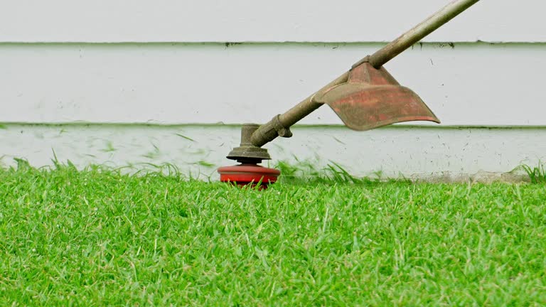 Best Sod Installation  in Saranac Lake, NY