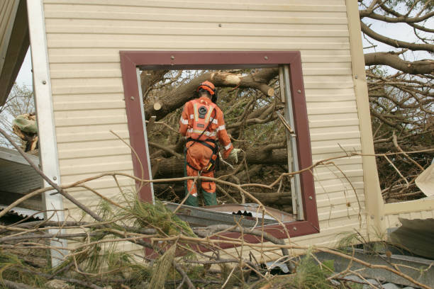 Best Utility Line Clearance  in Saranac Lake, NY