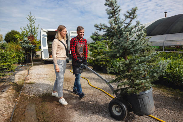 Best Lawn Irrigation Installation and Maintenance  in Saranac Lake, NY